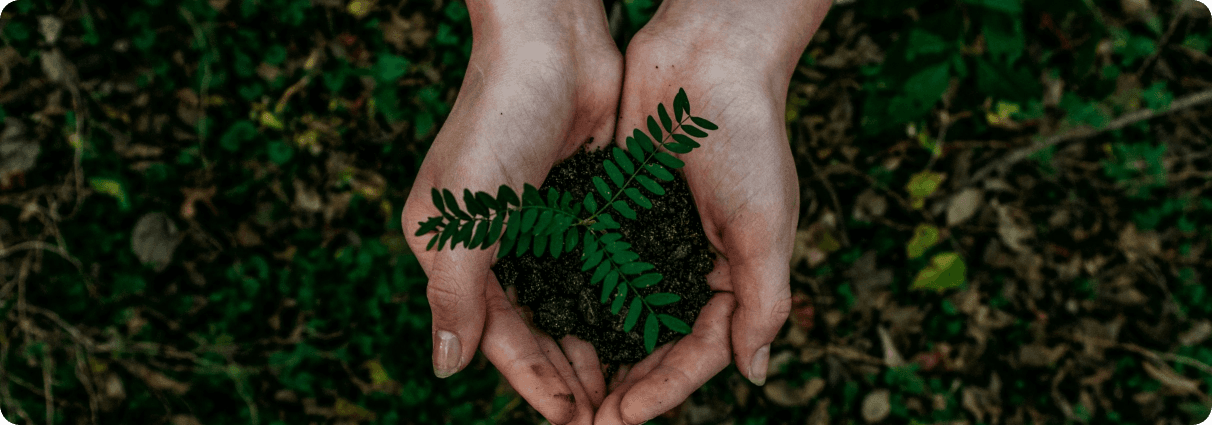 Concept to Creation: How Merch.com Brings Swag Ideas to Life